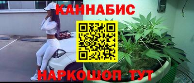 стафф Моздок