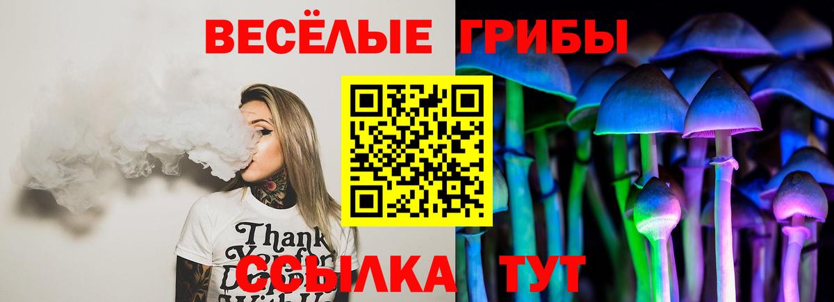 Псилоцибиновые грибы мухоморы Гулькевичи